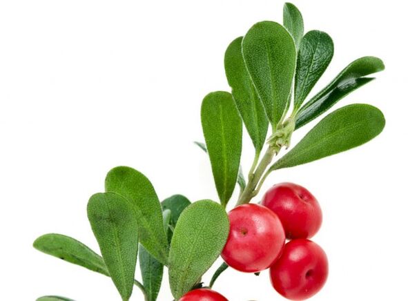 Clean Forte enthält Bearberry Blieder