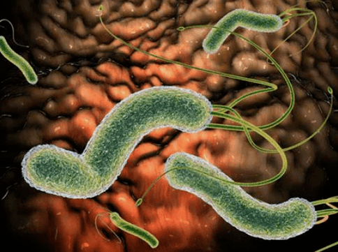 Wéi eng Parasiten kënnen am Kierper sinn