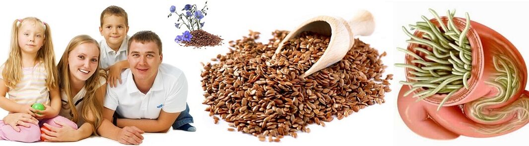 Folk Remedies fir Parasiten fir Famill Gesondheet
