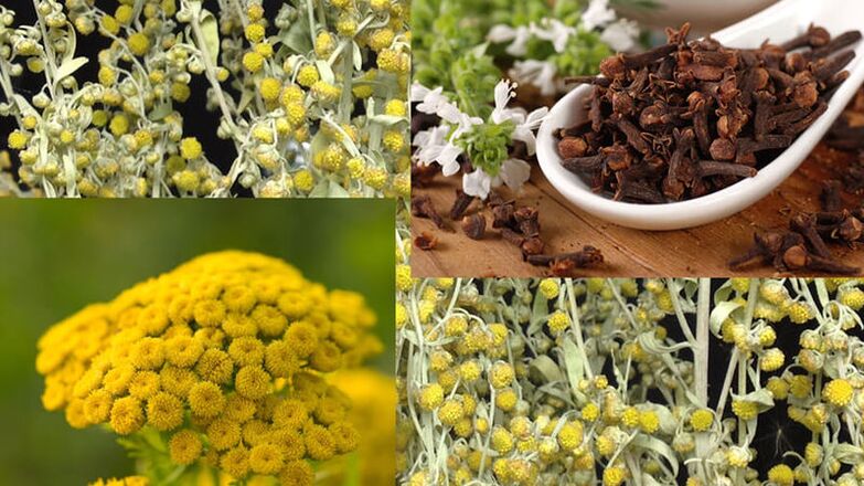 Folk Remedies fir Parasiten